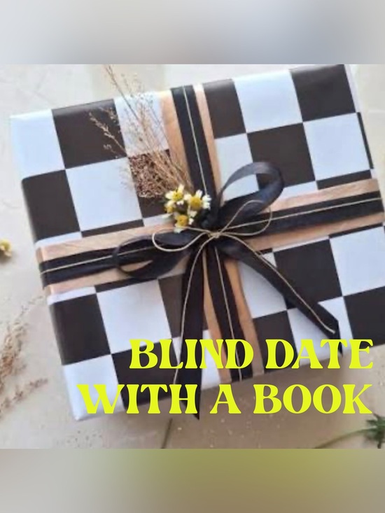 Other - Book - Blind Date With A Like New/Gently Used Random Book